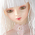 A - ���x�p�i���D�����v DP06-03 - Matt White