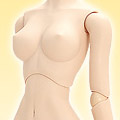 Volks Dollfie Dream�]DD3��Normal�^Base Body III