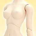 Volks Dollfie Dream�]DD3��Semi-White�^Base Body III