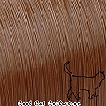 L3-06 �Ŵ� Brown