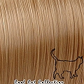 L3-07 �`�����Ī� Dark Gold