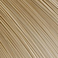 L3-10 �d�G Hazel Fruit