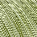 L3-18 �����V��Grass Green ( Mix )