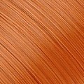 L3-27 ���e�� Chestnut