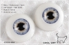16MM��Metallic���J�O���ǲ��] (CC01) Blue