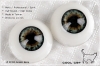 16MM��Metallic���J�O���ǲ��] (CC04) G-Grey