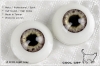 20MM��Metallic���J�O���ǲ��] (CC05) L-Grey