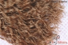 S6_20cm_04 �p���� Bear Brown