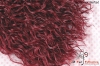 S6_20cm_06 �`�s�� Deep WineRed