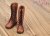 �iTY02-3�jTaeyang �j�a�h�հ򥻴ڡD�����u # Brown