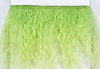 MW-30 Green Peas